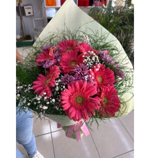 Gerbera lila