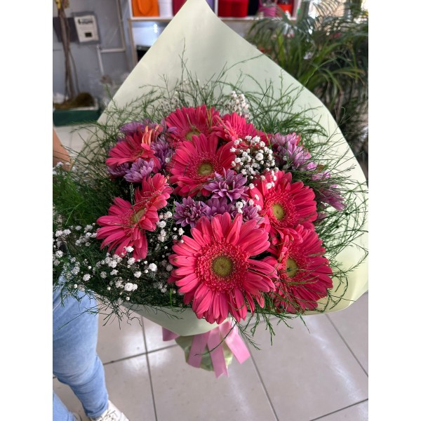 Gerbera lila