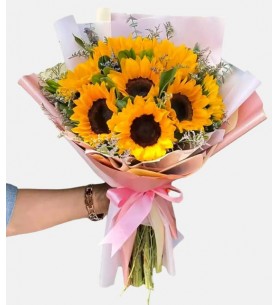 Sunflower Beauty