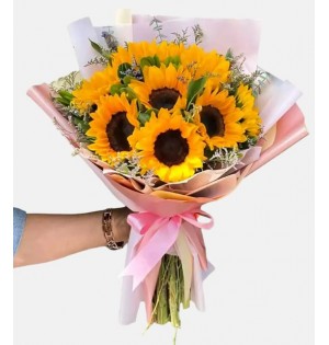 Sunflower Beauty