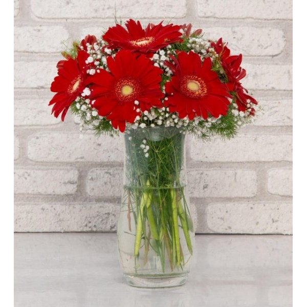  KIRMIZI  GERBERA ARANJMAN